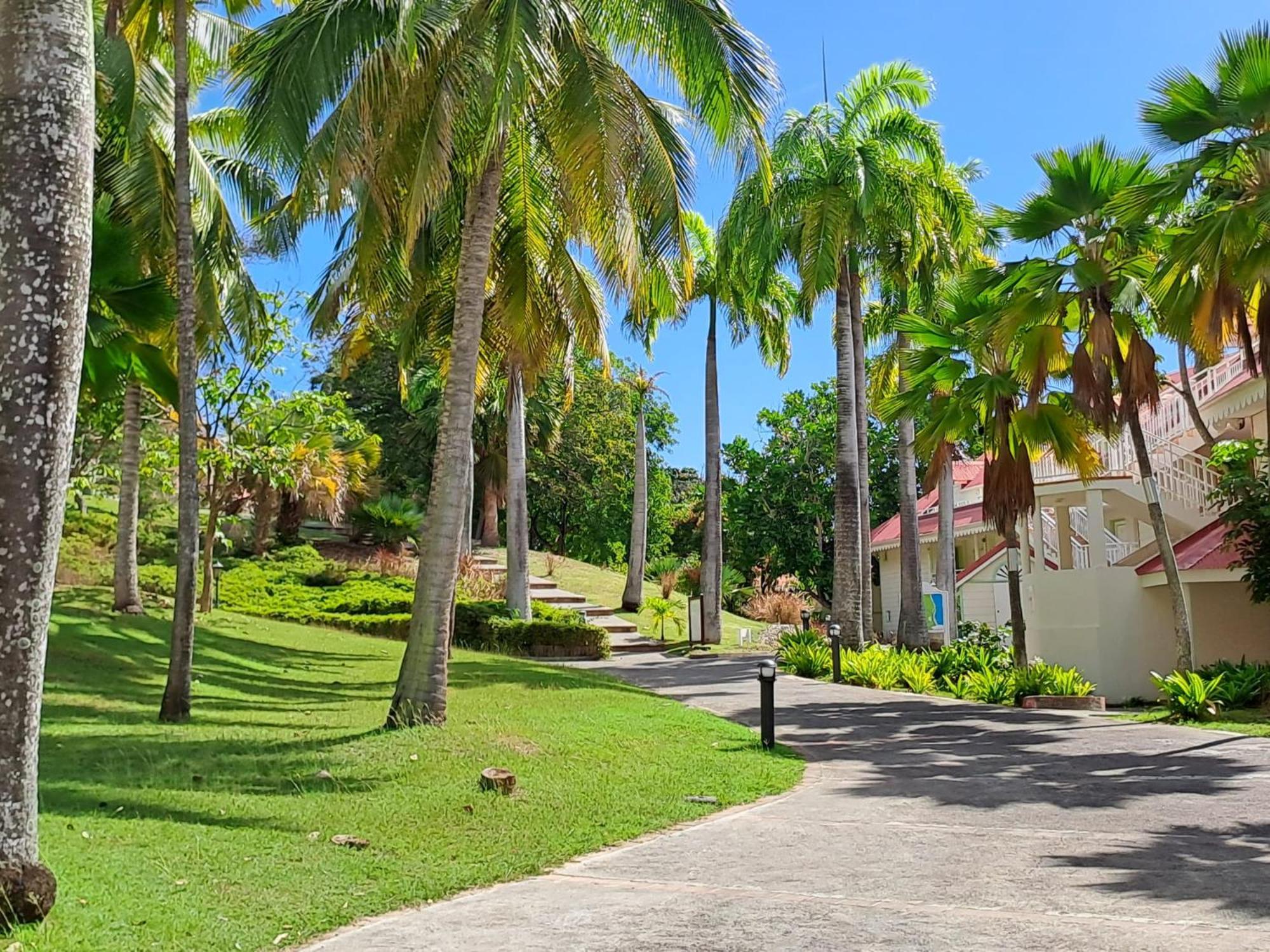 Grand Studio Vue Mer Exceptionnelle, Piscines, Plages. Sainte-Anne  Exterior photo